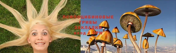 крисы Пестово