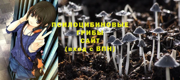 PSILOCYBIN Киренск