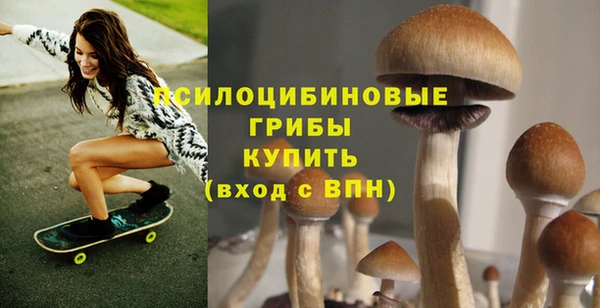 сатива Щёлкино