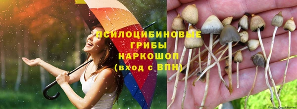 а пвп мука Пересвет
