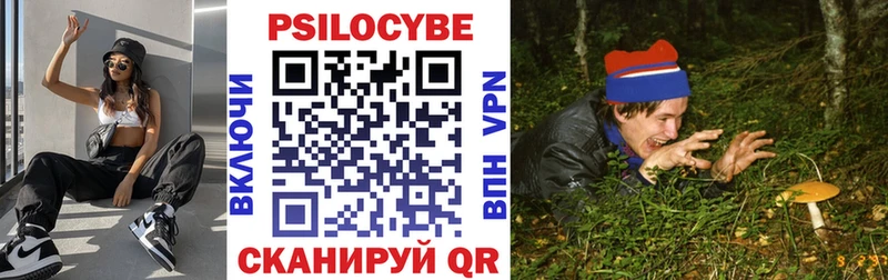 Псилоцибиновые грибы Psilocybe  сколько стоит  shop наркотические препараты  Дно 