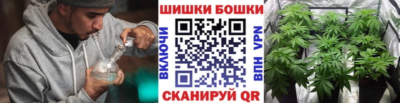Каннабис план Дно